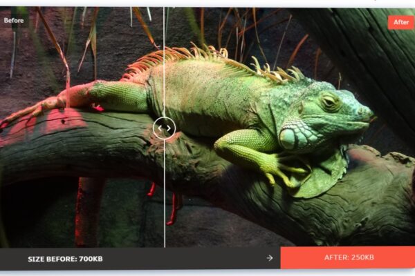como otimizar imagens para o wordpress